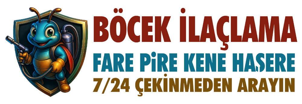 Böcek İlaçla İstanbul – Profesyonel Haşere Kontrol ve İlaçlama Hizmetleri