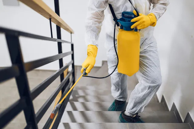 Böcek İlaçla İstanbul – Profesyonel Haşere Çözümleri